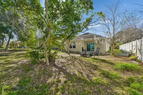 10104 Hawk Storm Avenue Tampa FL 33610