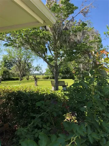 2230 SW 87th Place Ocala FL 34476