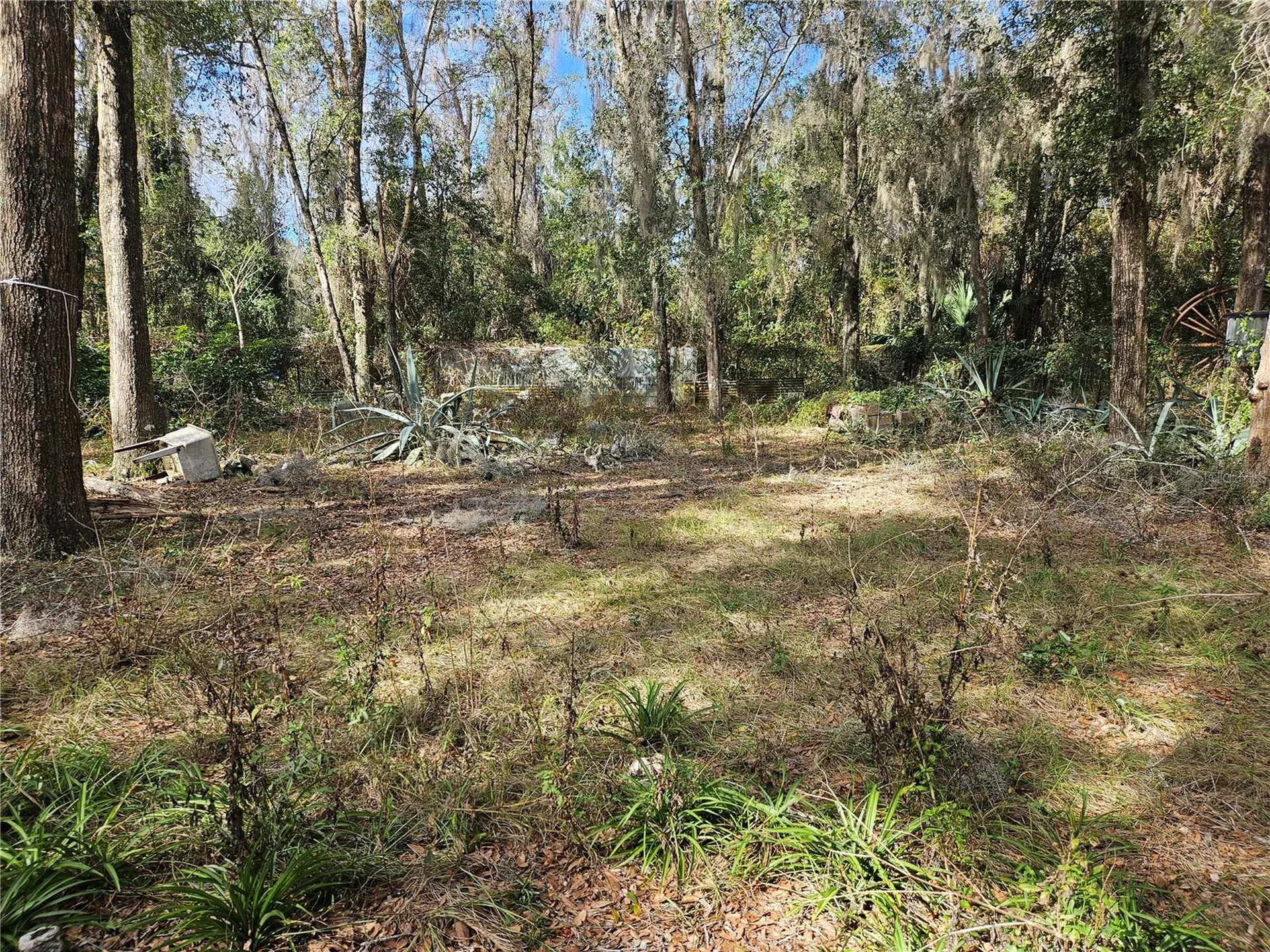 5870 SE 158th Court Ocklawaha FL 32179