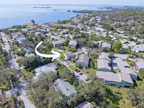 428 Windrush Bay Drive Tarpon Springs FL 34689