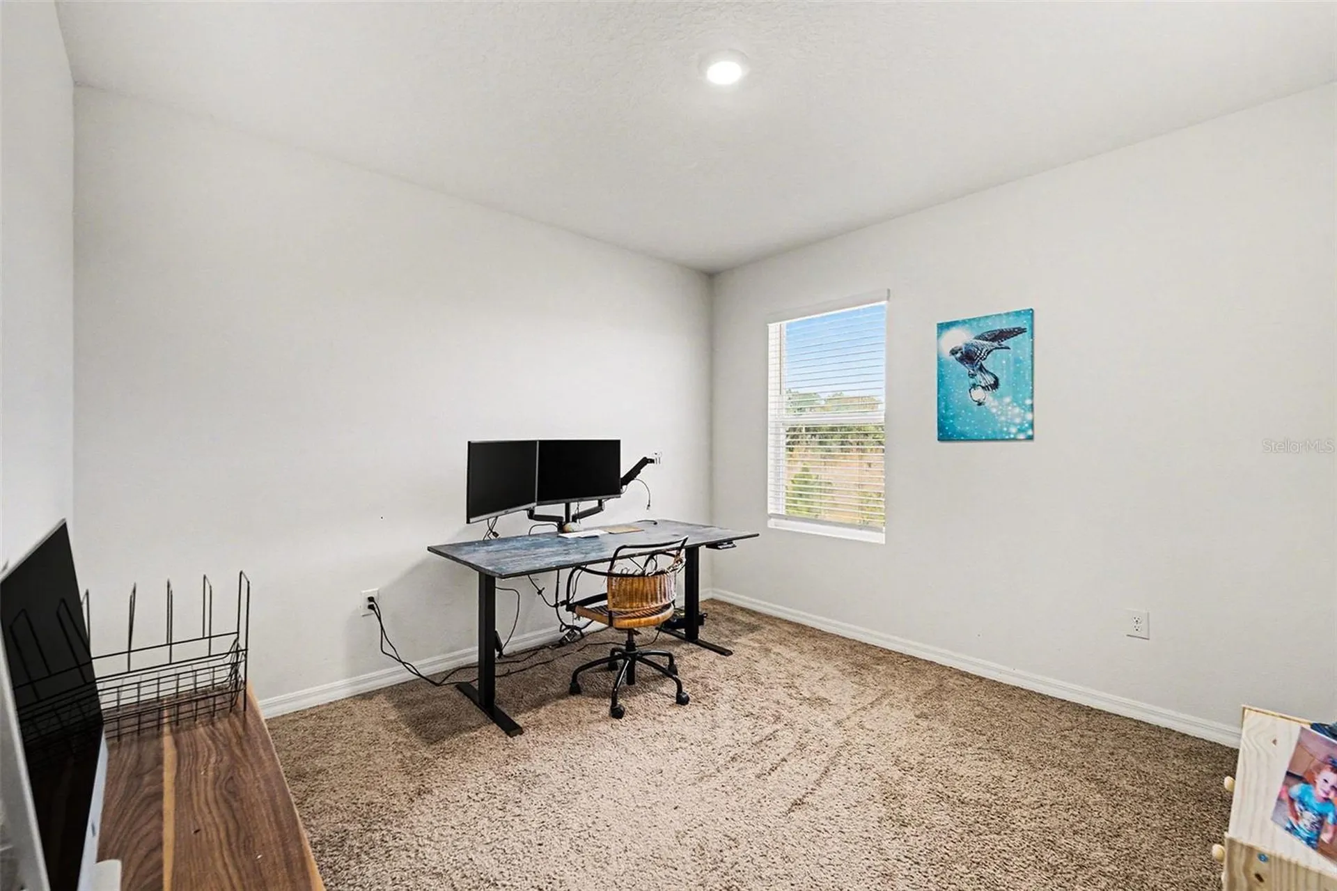 35605 Stella Vast Drive Zephyrhills FL 33541