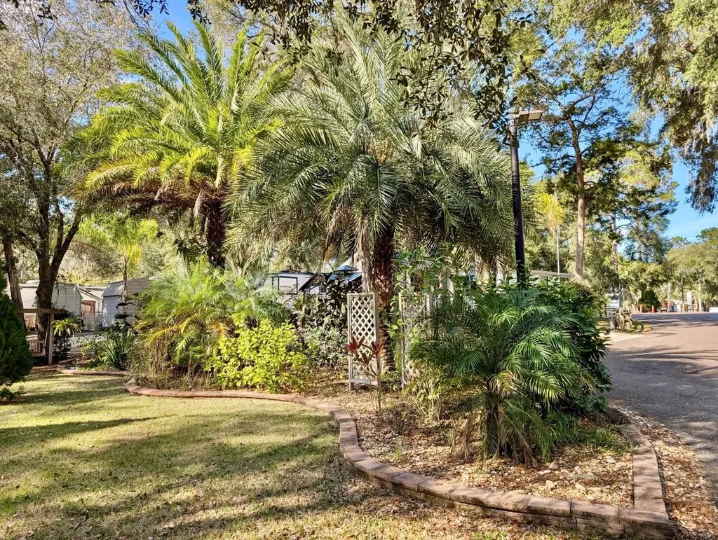 14131 NE 253rd Avenue Road Salt Springs FL 32134