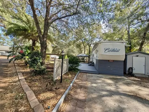 14131 NE 253rd Avenue Road Salt Springs FL 32134