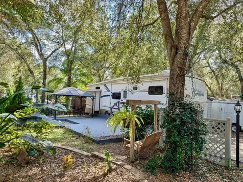 14131 NE 253rd Avenue Road Salt Springs FL 32134