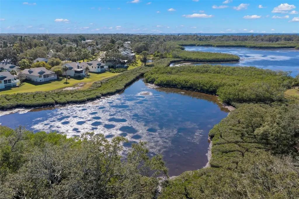 1013 Caravel Court Tarpon Springs FL 34689
