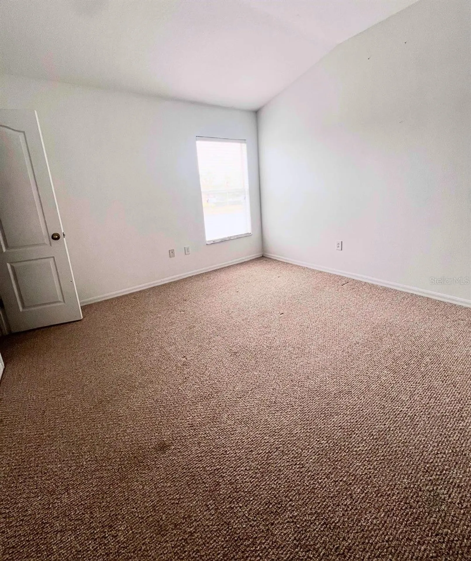 12344 Foxmoor Peak Drive Riverview FL 33579