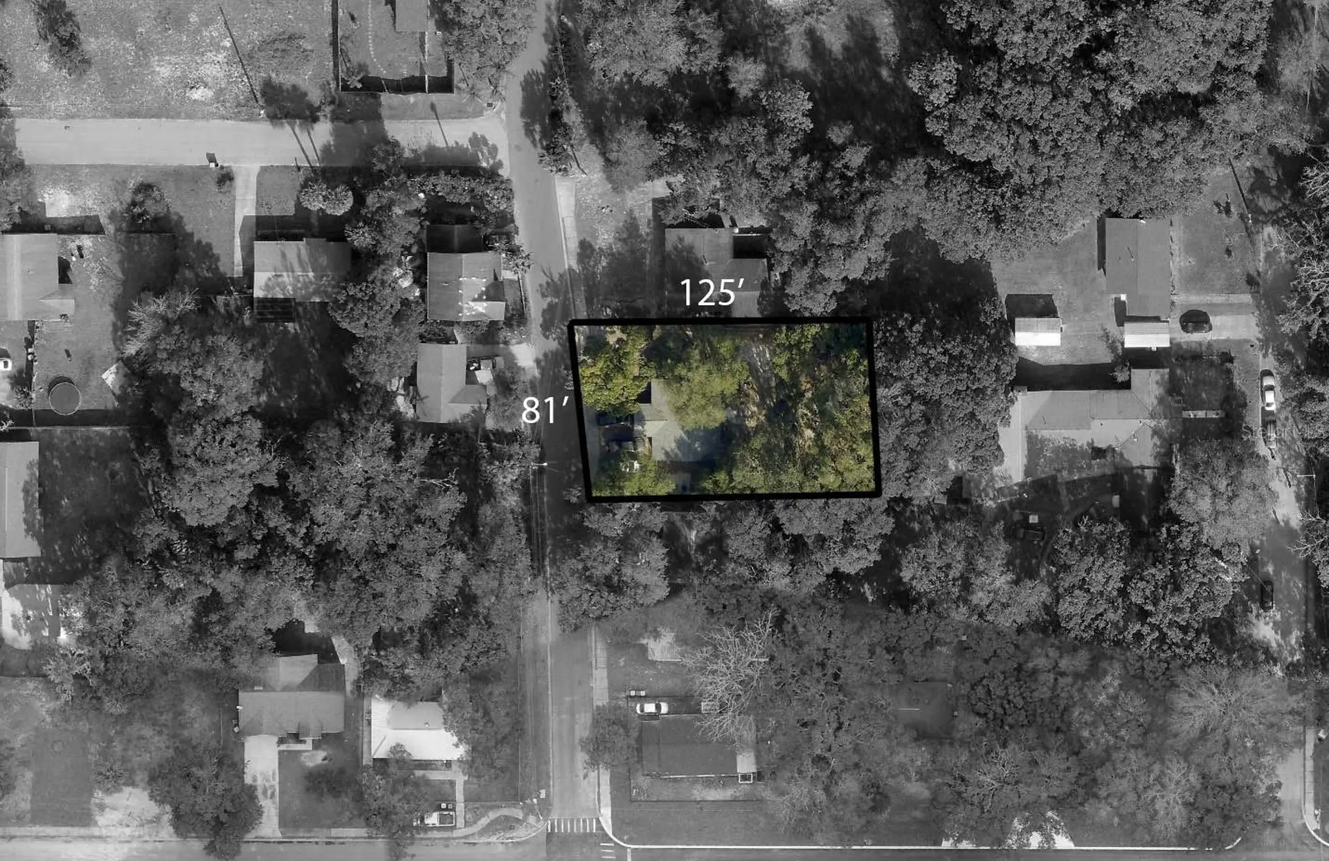 1730 N Orange Street Mount Dora FL 32757