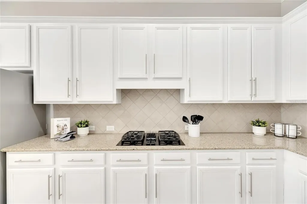 528 Islebay Drive Apollo Beach FL 33572