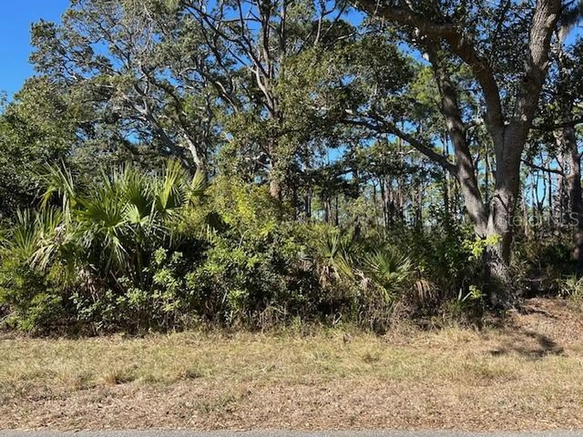 Port Charlotte FL 33953