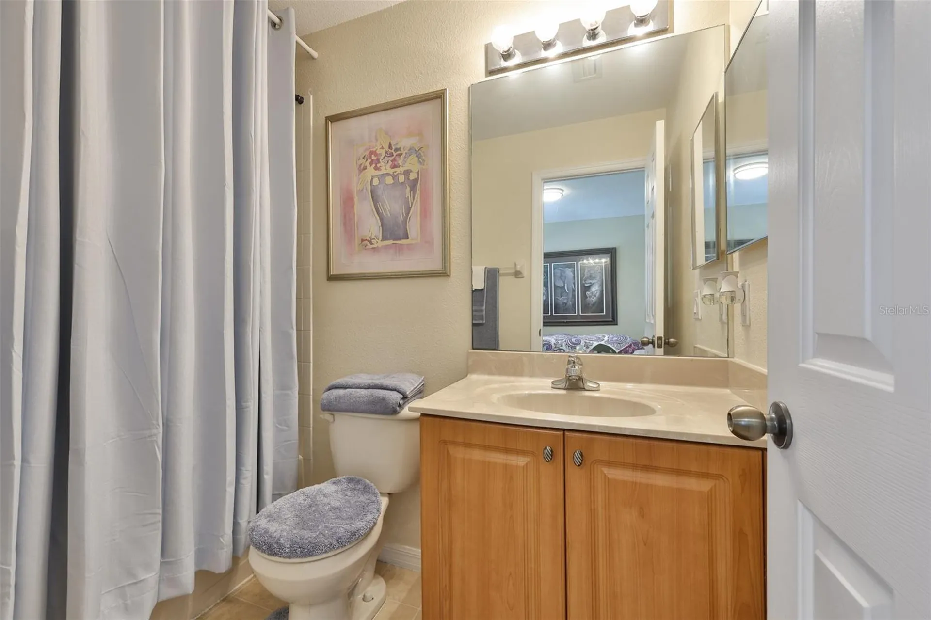 10967 Winter Crest Drive Riverview FL 33569