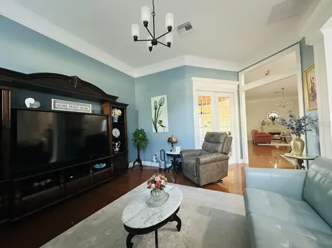 539 Dowling Circle Lady Lake FL 32159