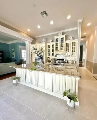 539 Dowling Circle Lady Lake FL 32159