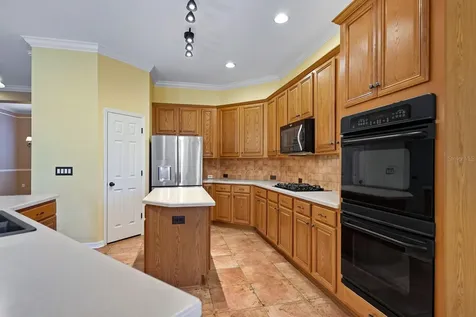 15239 Kestrelrise Drive Lithia FL 33547