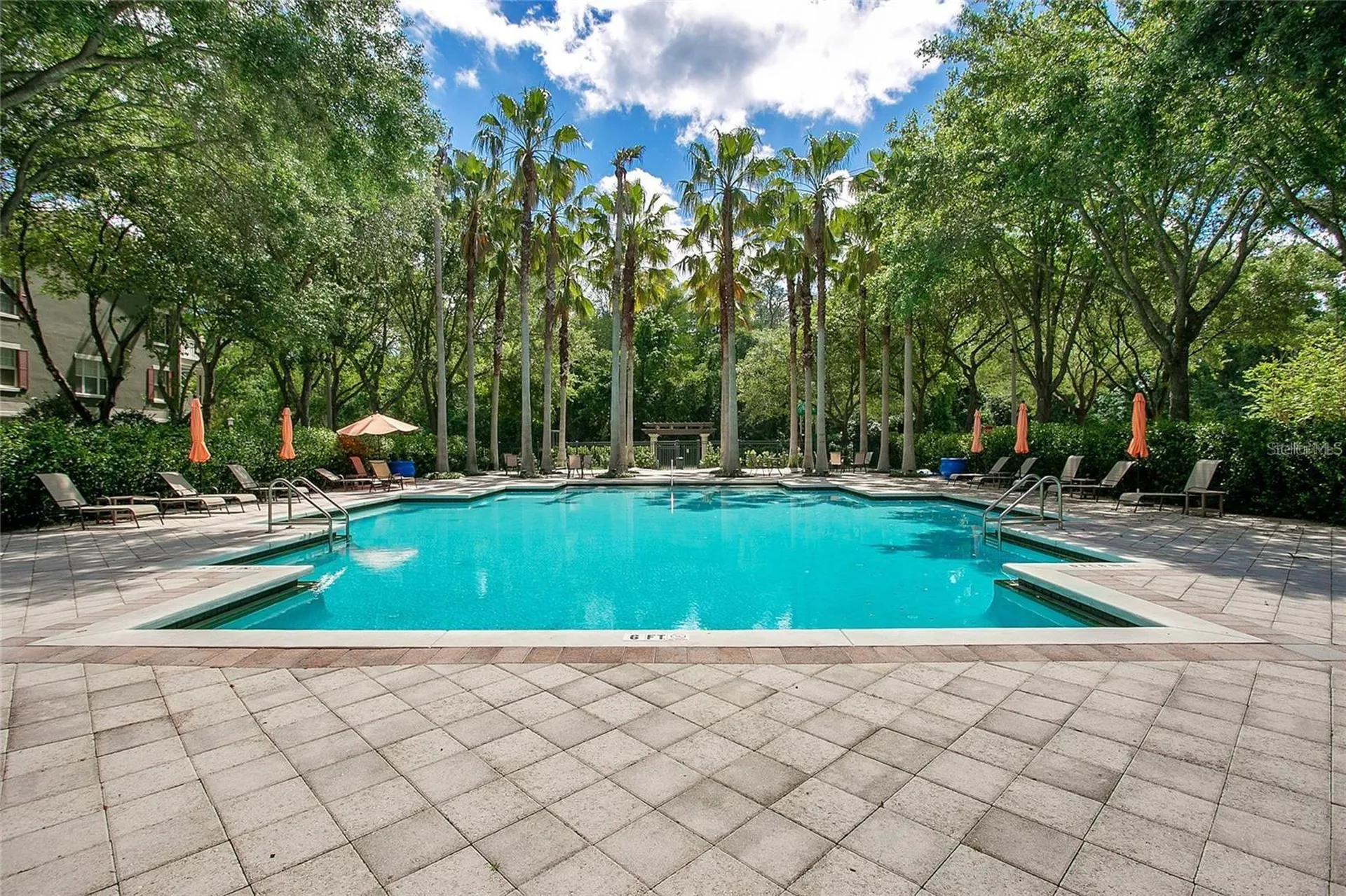 710 Siena Palm Drive Celebration FL 34747