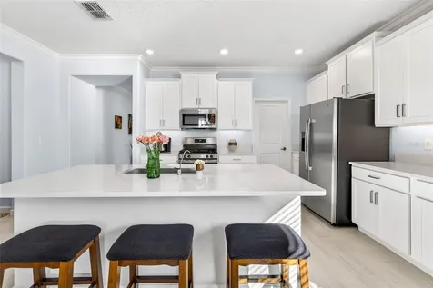 17245 Star Banks Street Wimauma FL 33598