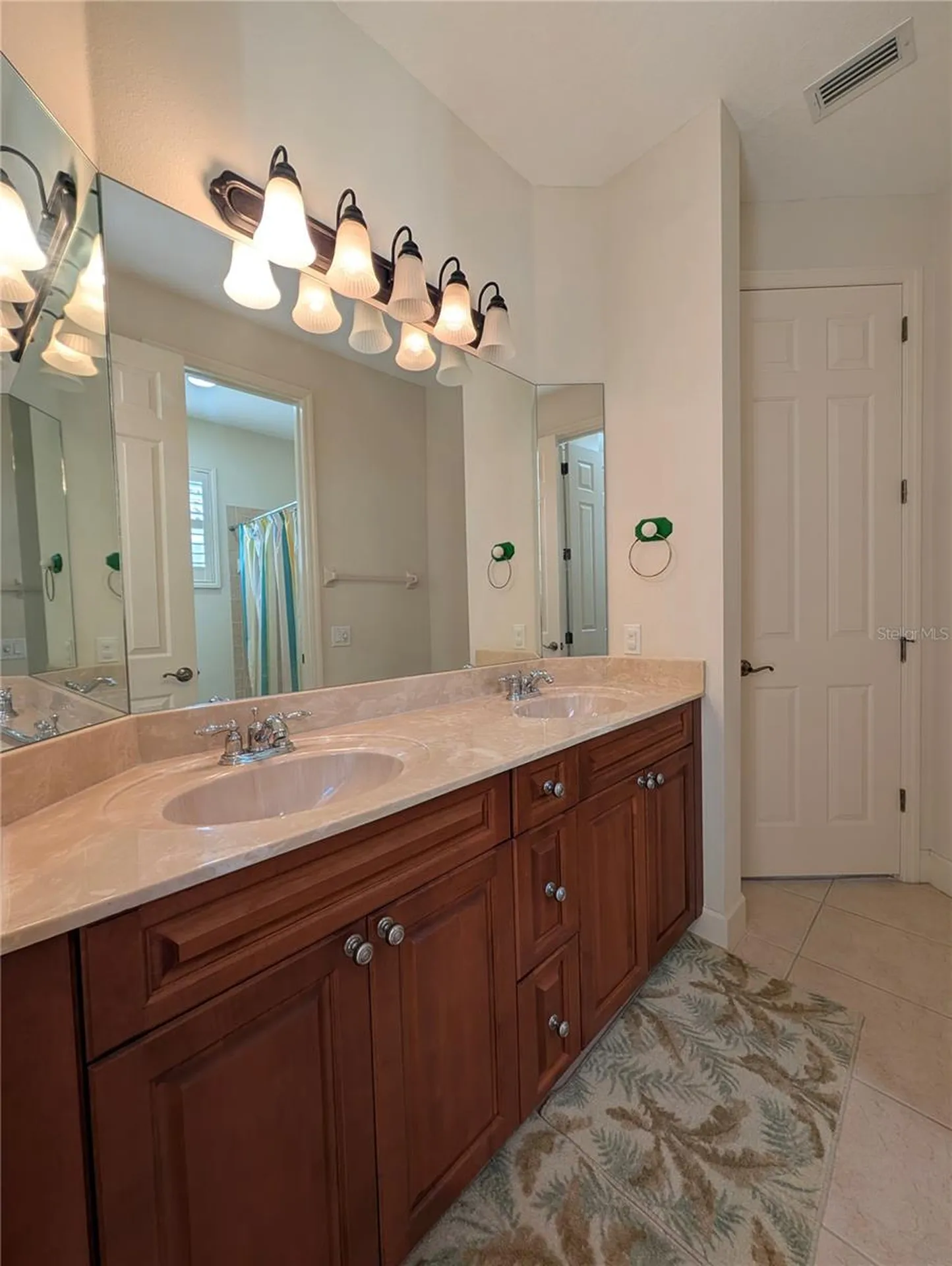 8492 Dunham Station Drive Tampa FL 33647
