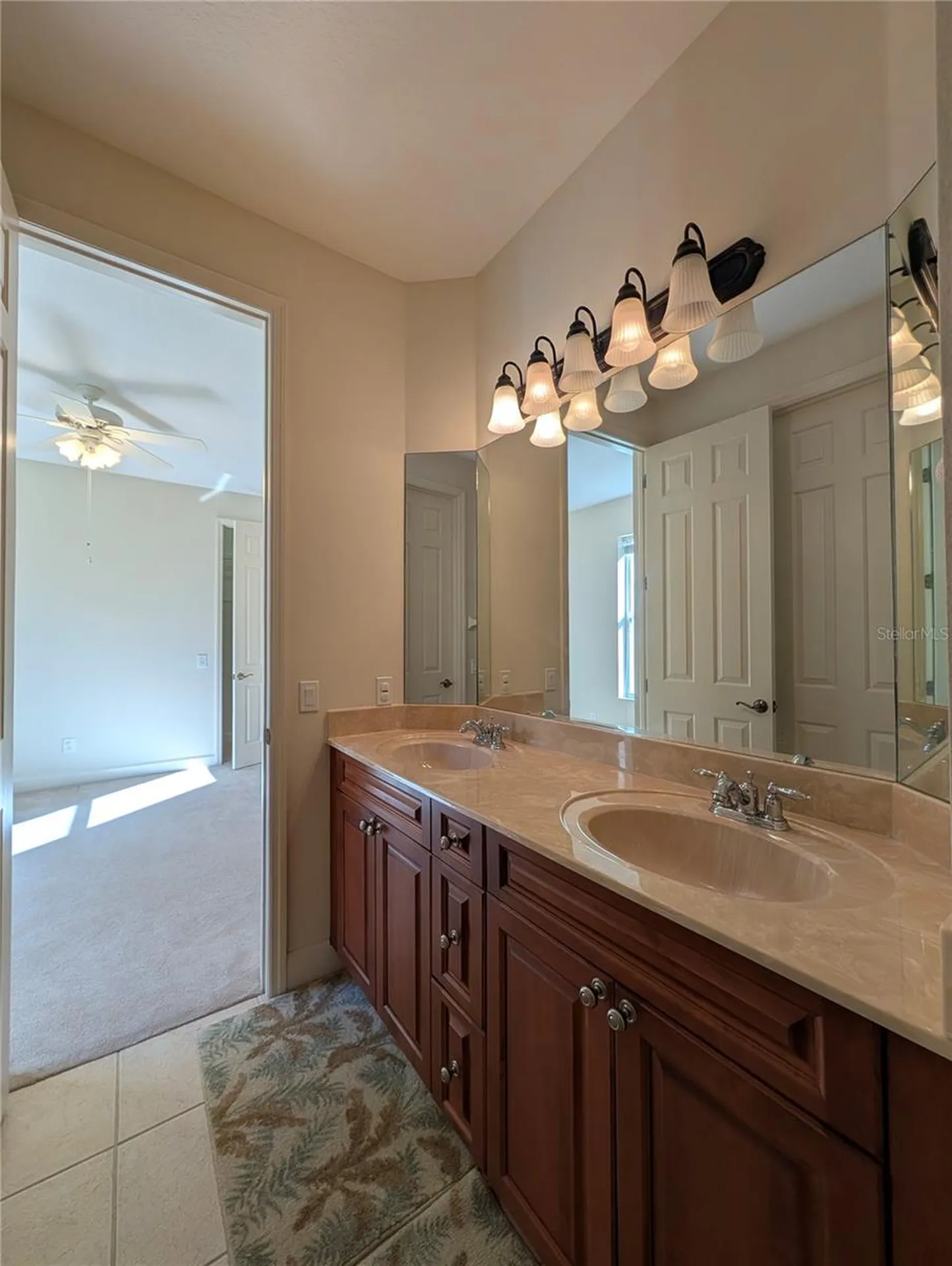 8492 Dunham Station Drive Tampa FL 33647