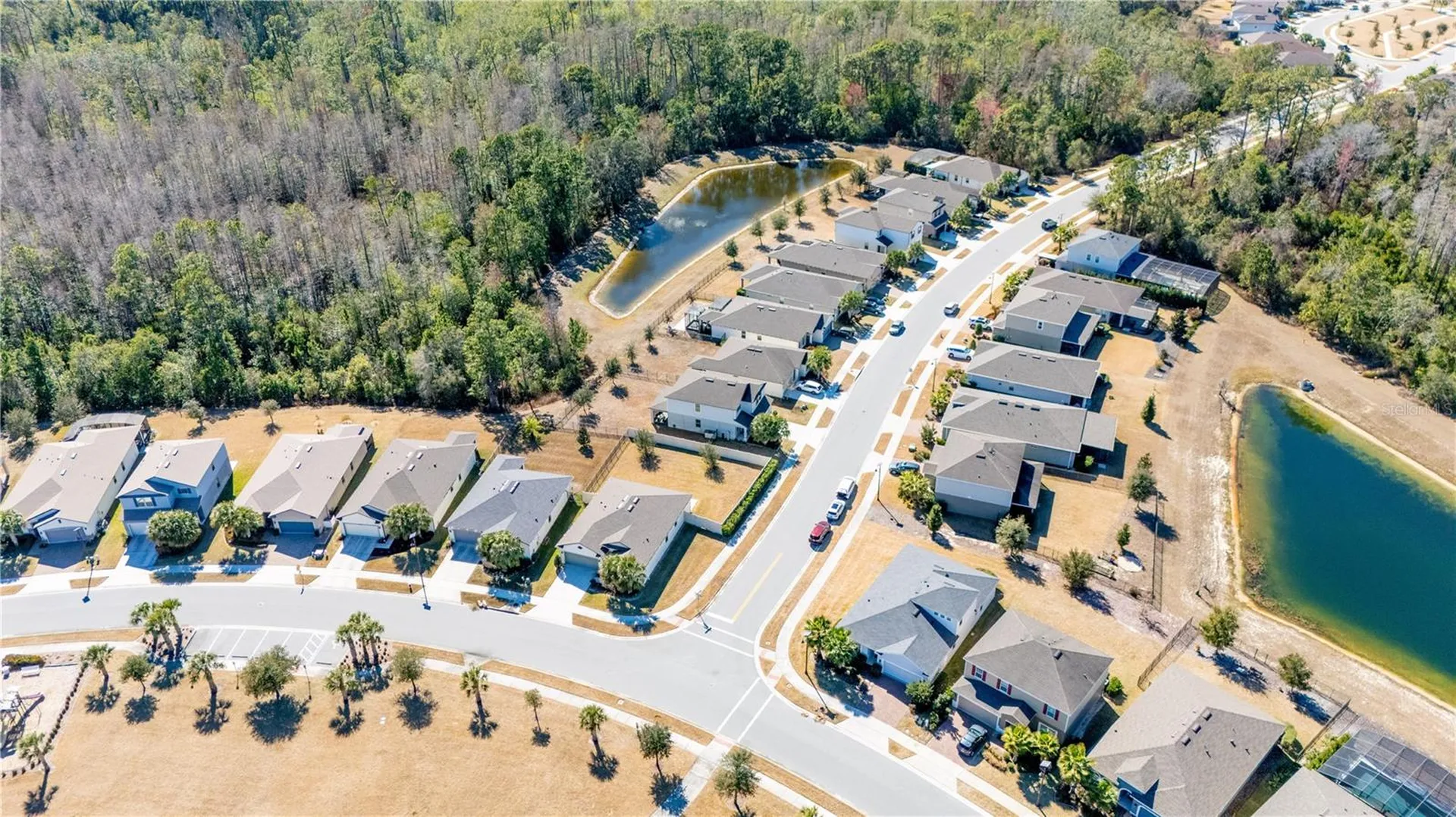 17128 Basswood Lane Clermont FL 34714