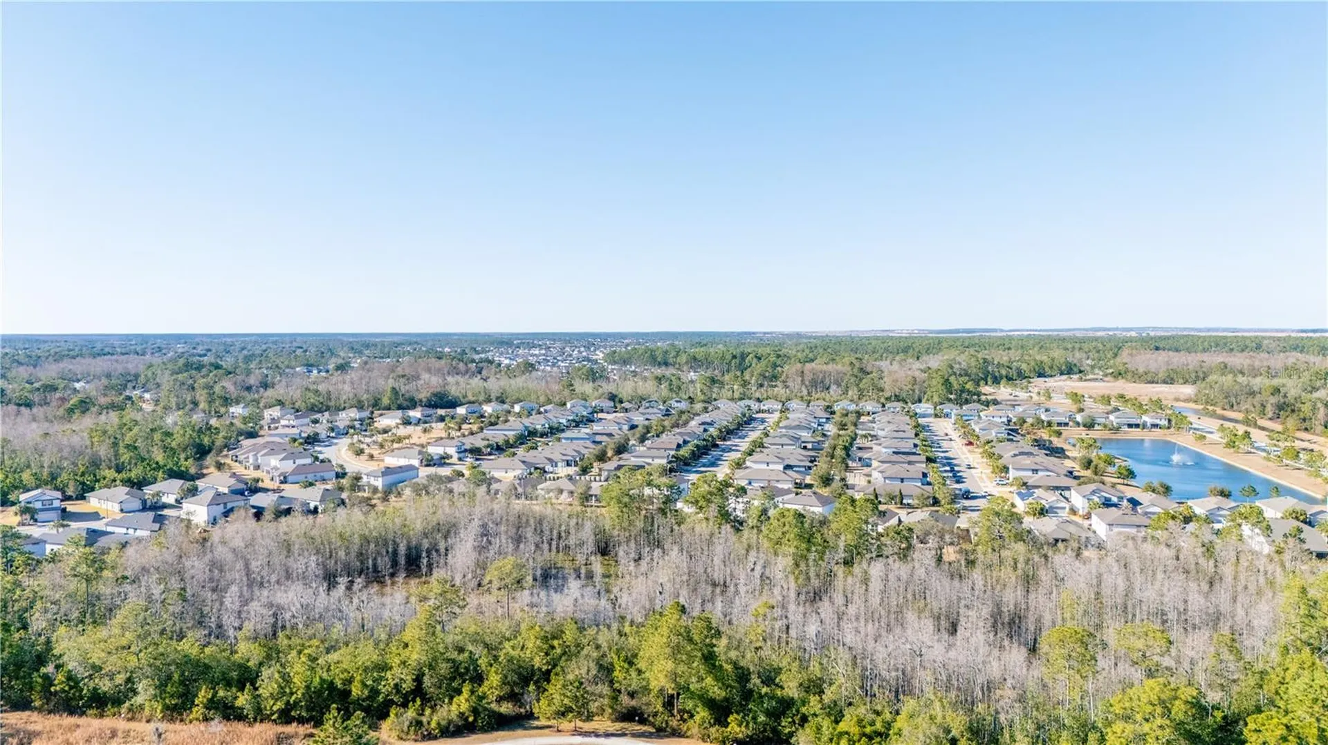 17128 Basswood Lane Clermont FL 34714