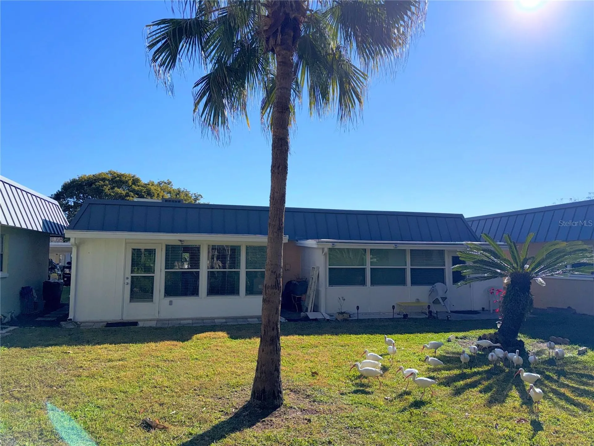 11931 Bayonet Lane New Port Richey FL 34654