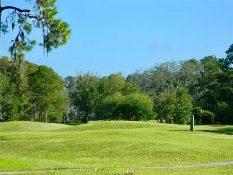11931 Bayonet Lane New Port Richey FL 34654