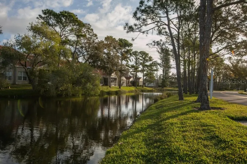 4690 Laurel Oak Lane NE St Petersburg FL 33703