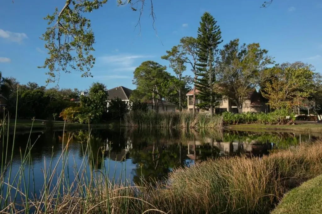 4690 Laurel Oak Lane NE St Petersburg FL 33703