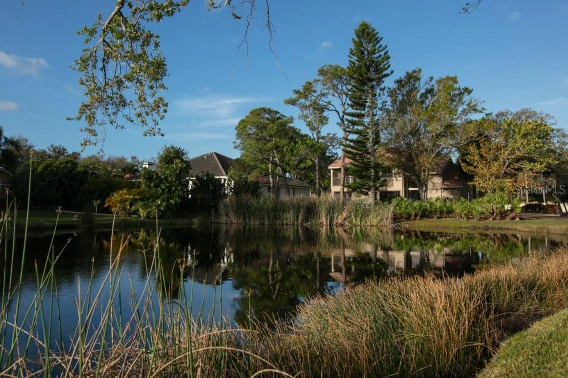 4690 Laurel Oak Lane NE St Petersburg FL 33703