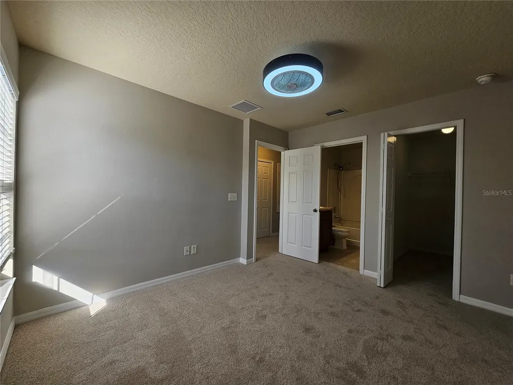 2954 Willowleaf Lane Wesley Chapel FL 33544