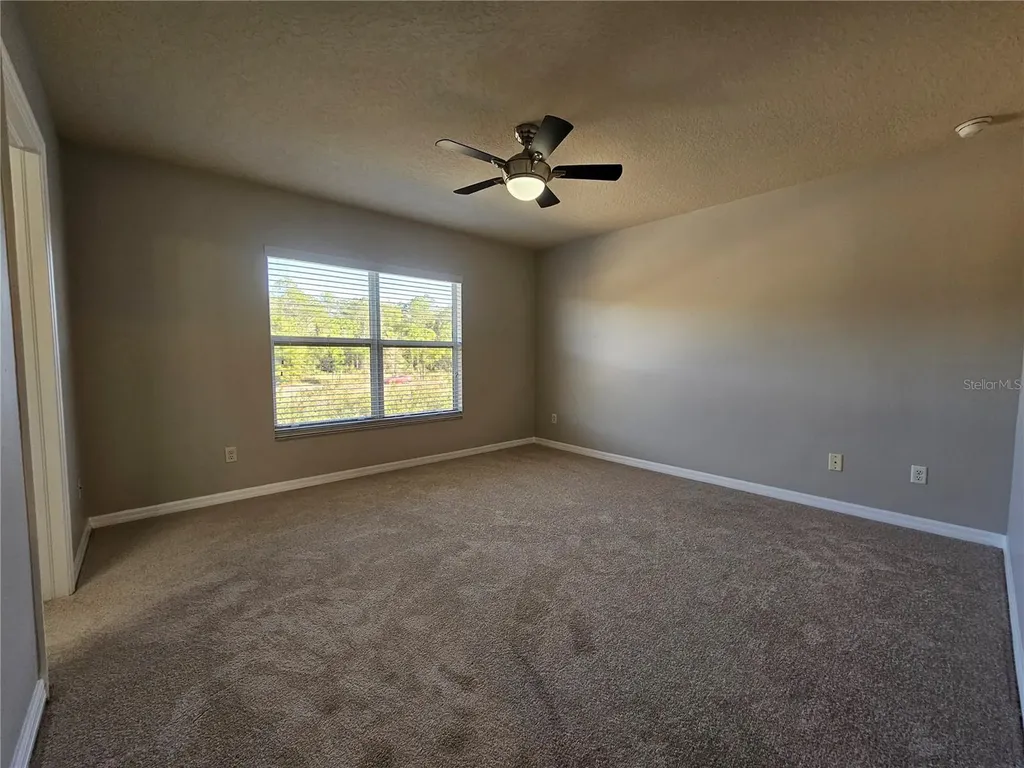 2954 Willowleaf Lane Wesley Chapel FL 33544