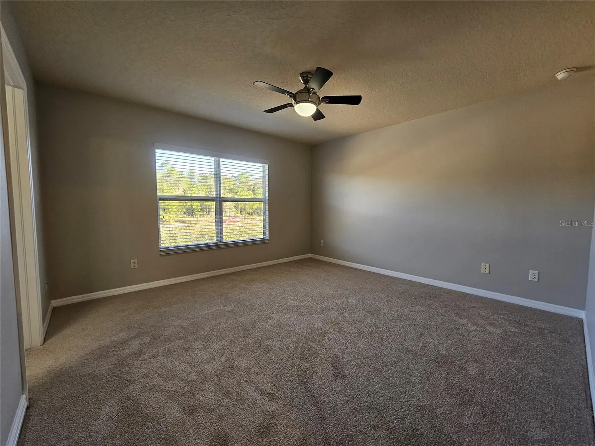 2954 Willowleaf Lane Wesley Chapel FL 33544
