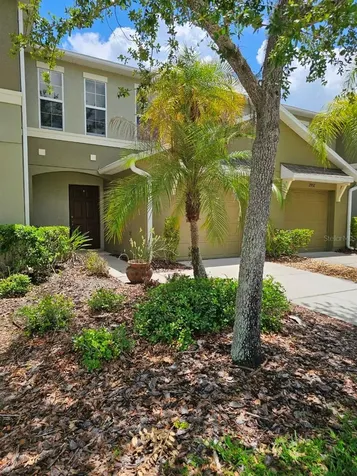 2954 Willowleaf Lane Wesley Chapel FL 33544