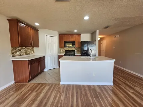 2954 Willowleaf Lane Wesley Chapel FL 33544