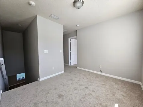 2954 Willowleaf Lane Wesley Chapel FL 33544