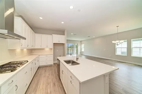 35563 Stableton Lane Zephyrhills FL 33541
