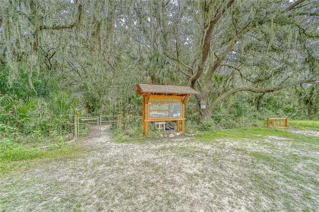3522 Fox Squirrel Lane Valrico FL 33596