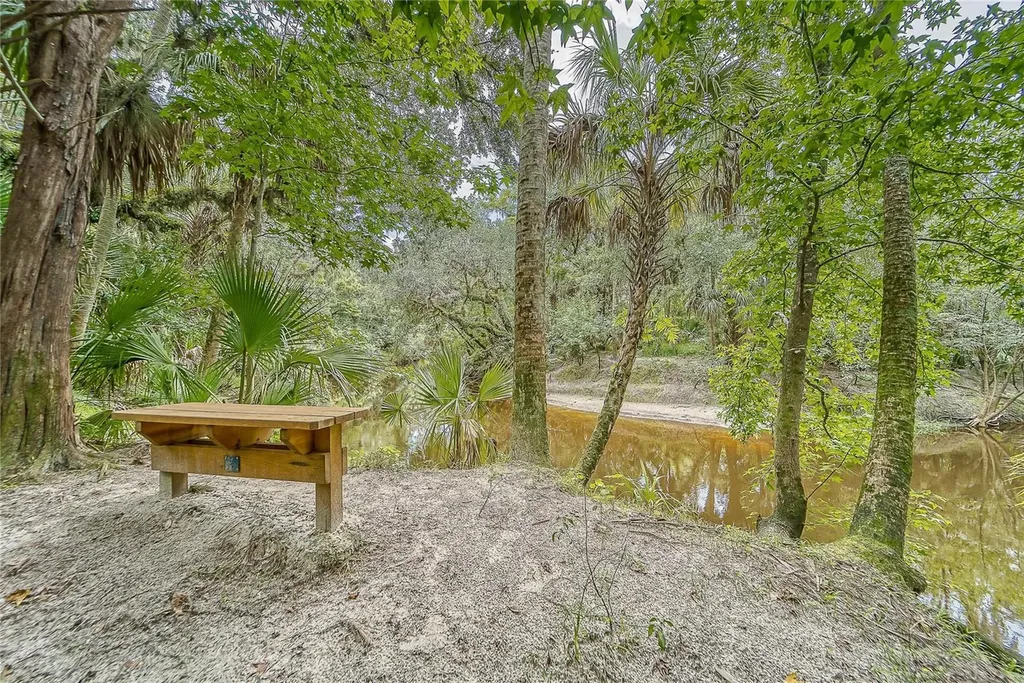3522 Fox Squirrel Lane Valrico FL 33596