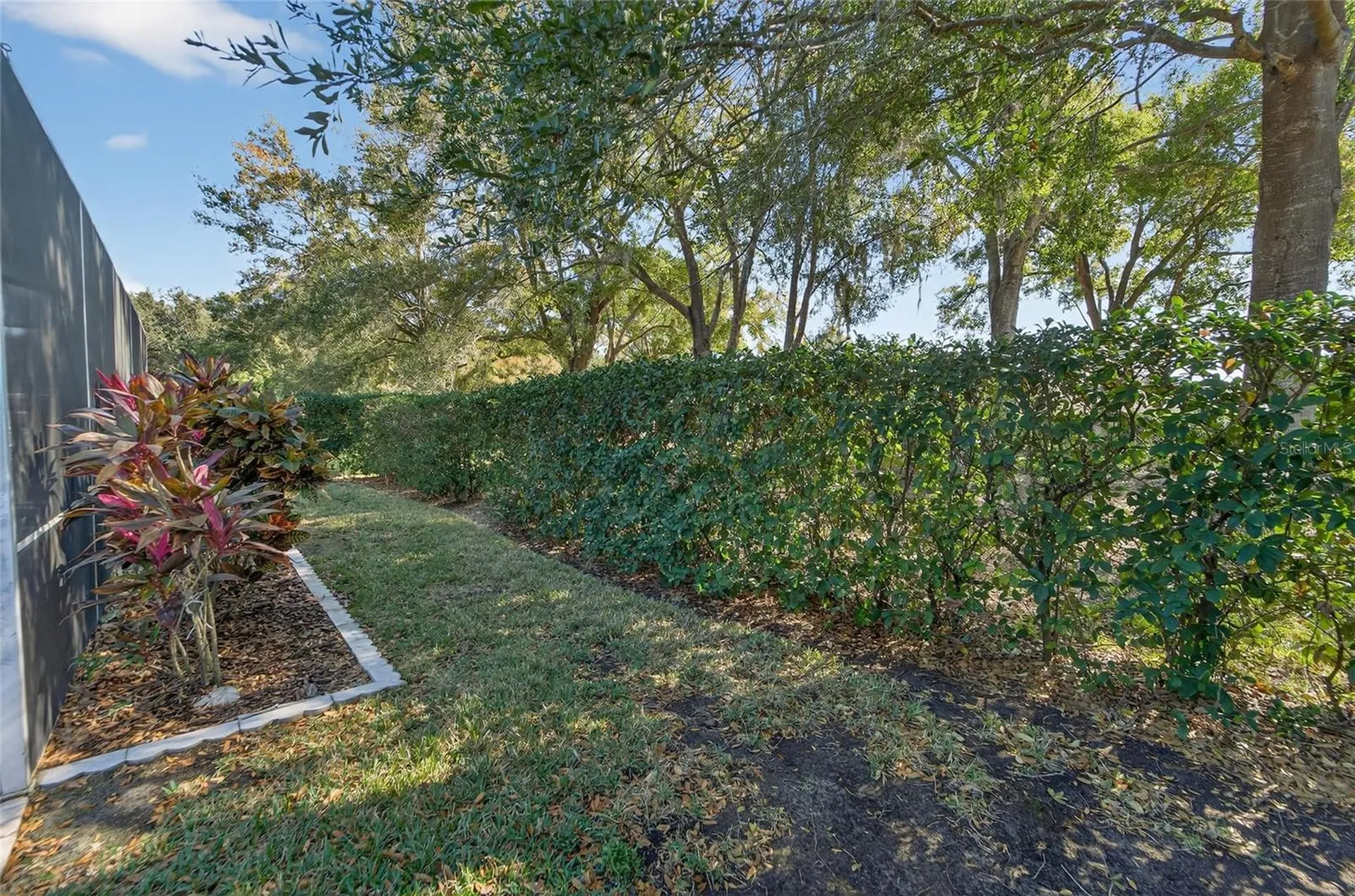 3522 Fox Squirrel Lane Valrico FL 33596