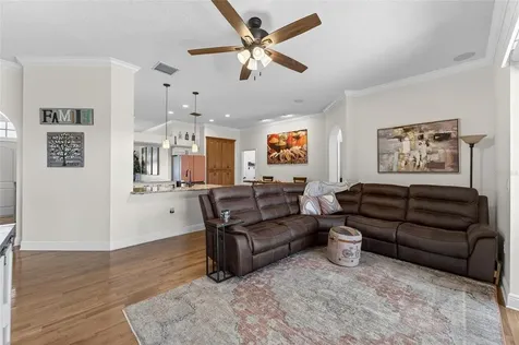 3522 Fox Squirrel Lane Valrico FL 33596