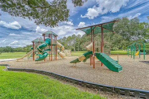3522 Fox Squirrel Lane Valrico FL 33596