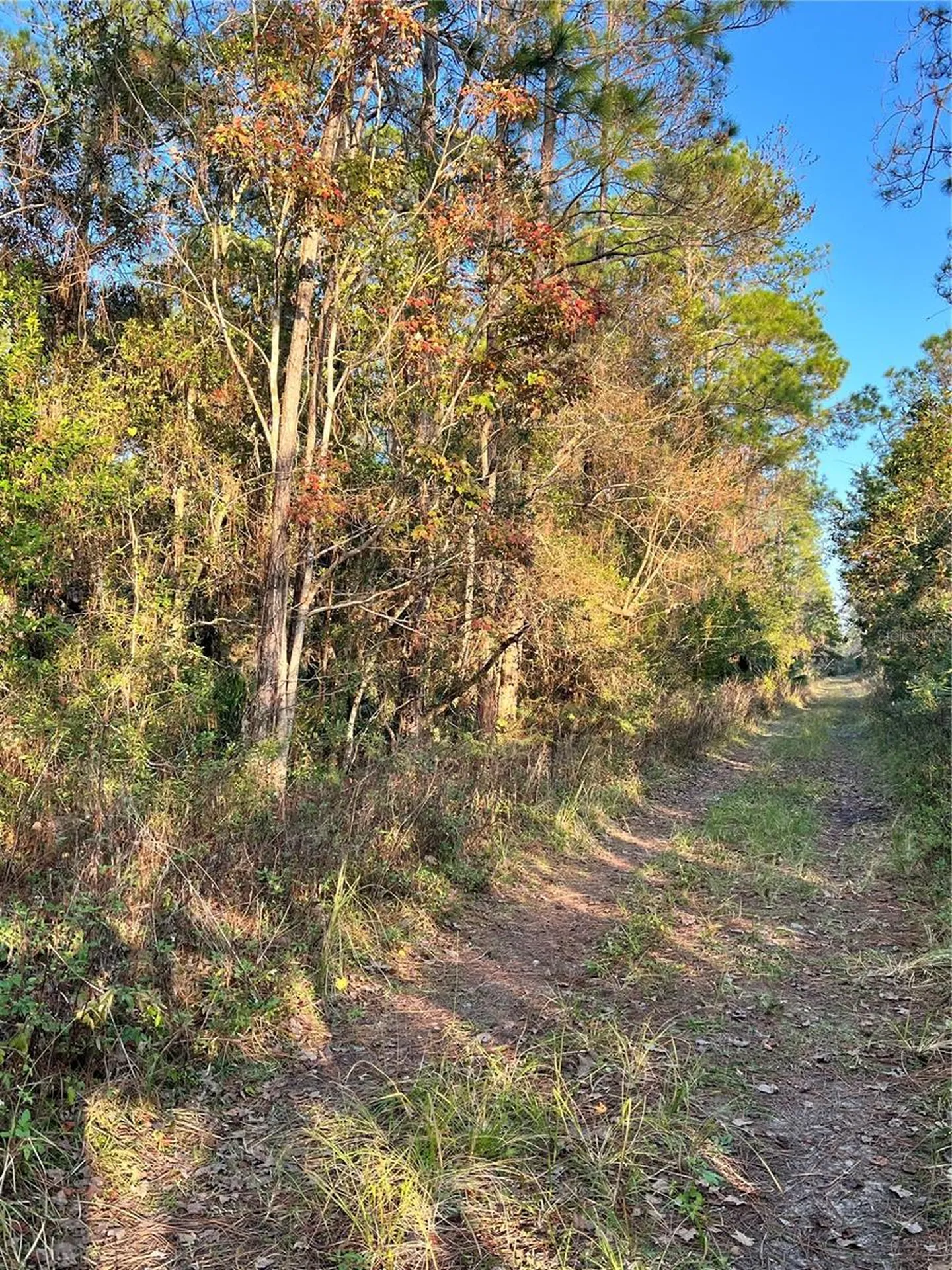 University Highlands/ Deland Crossings Deland FL 32724