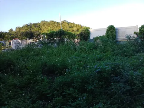 Calle Rio Pitahaya River Edge Hills Luquillo PR 00773