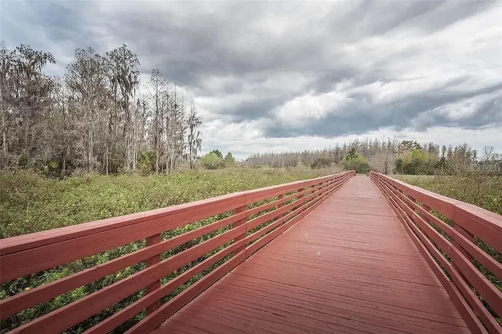 4239 Woodland Retreat Boulevard New Port Richey FL 34655