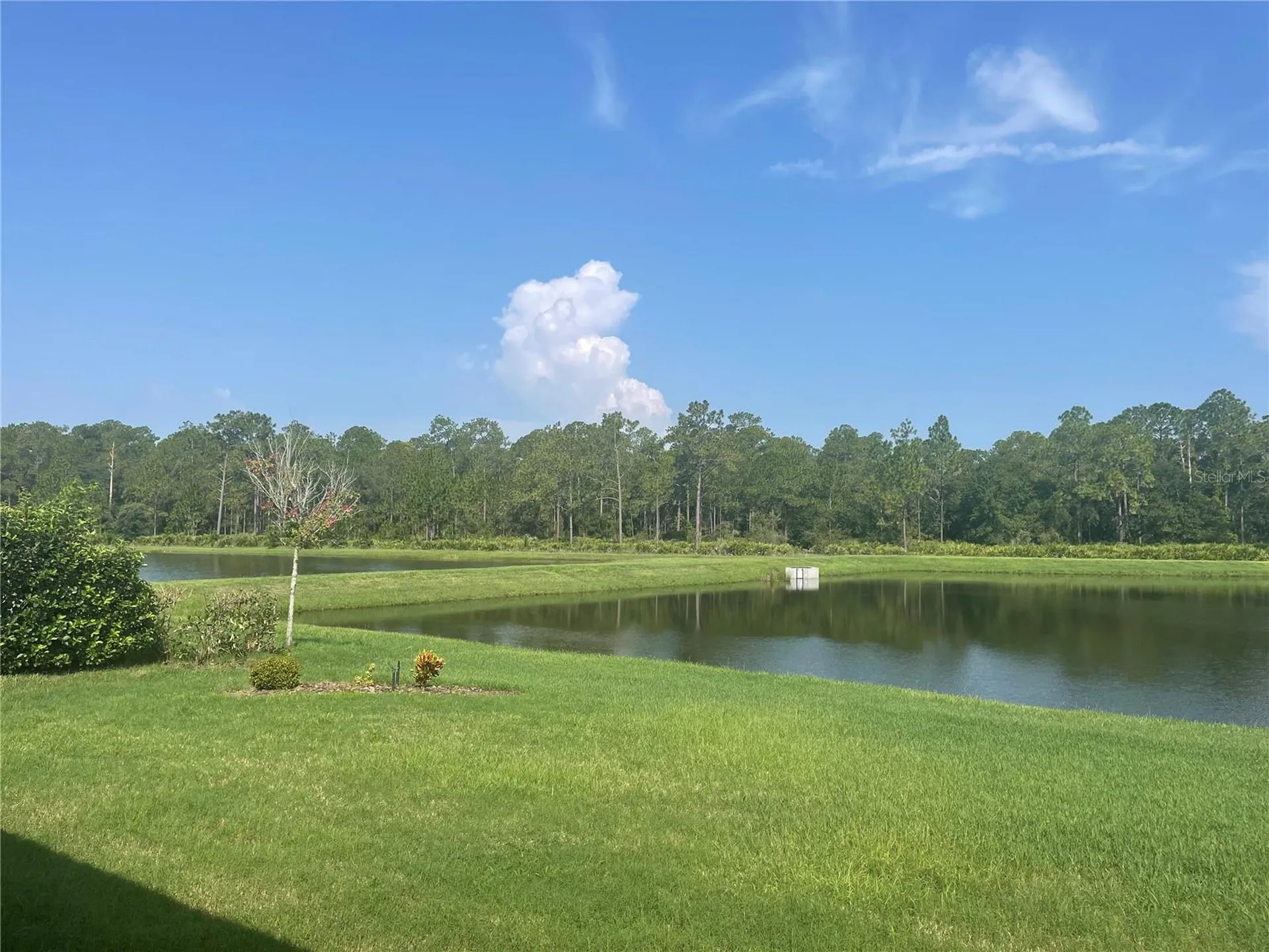4239 Woodland Retreat Boulevard New Port Richey FL 34655