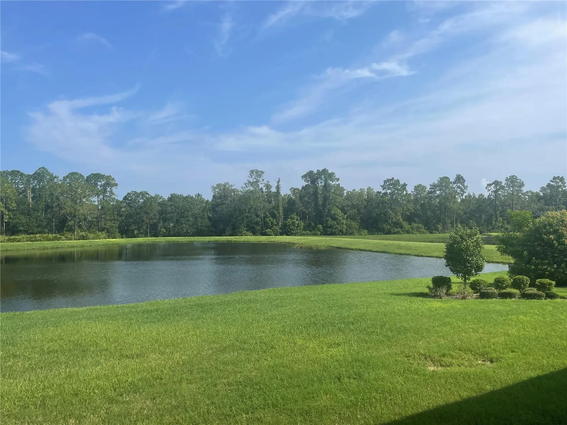 4239 Woodland Retreat Boulevard New Port Richey FL 34655
