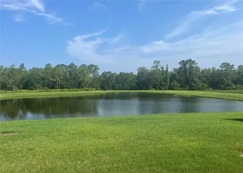 4239 Woodland Retreat Boulevard New Port Richey FL 34655