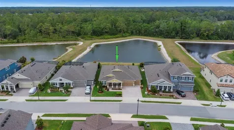 4239 Woodland Retreat Boulevard New Port Richey FL 34655