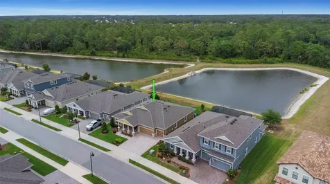 4239 Woodland Retreat Boulevard New Port Richey FL 34655