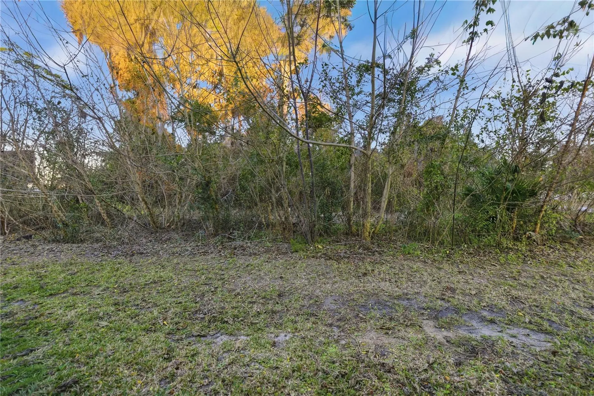 3409 SW 34th Avenue Circle Ocala FL 34474