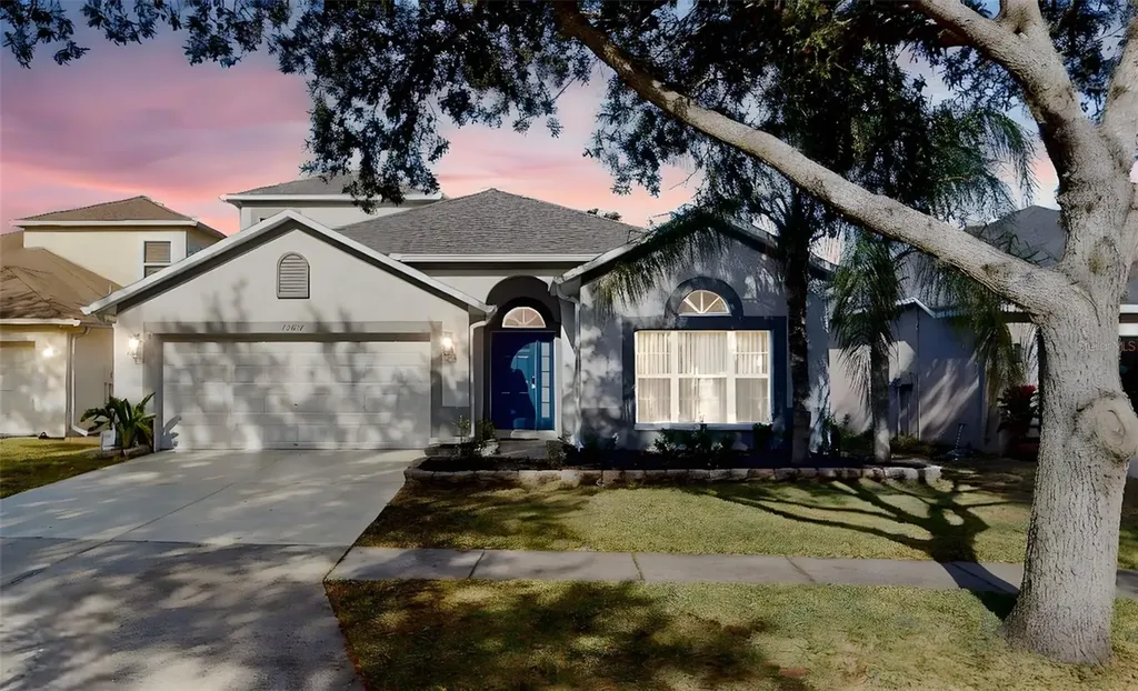 15819 Cedar Elm Terrace Land O Lakes FL 34638